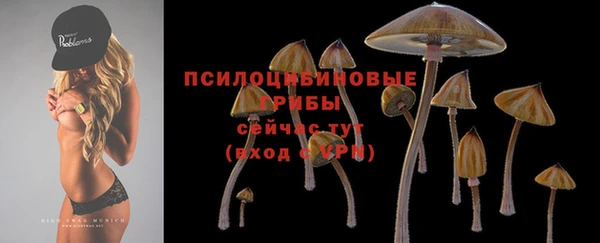 кокс Беломорск