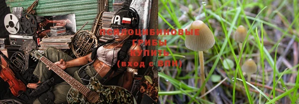 дурь Богородицк