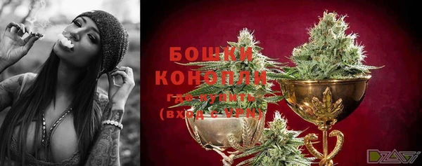 спайс Белокуриха